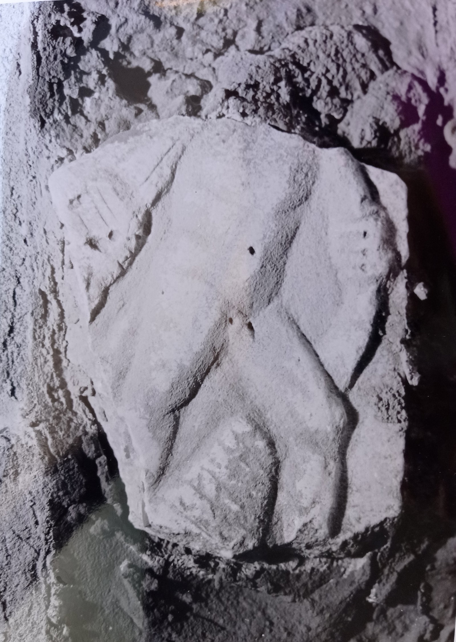 sarcofago (SECOLI/ ARCHI DI SECOLI/ II-III)